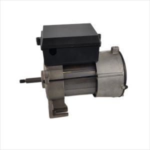 China 0.75hp Electric Water Pump Motor Single Phase 10 Frame 208-230V For Bathtub Pump on sale