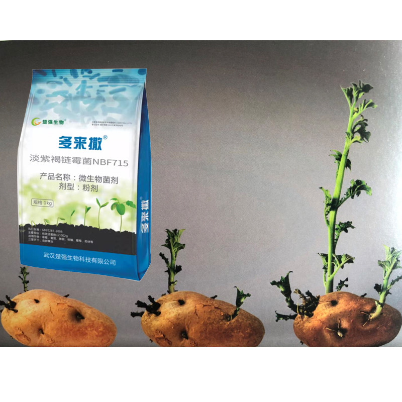 Duolaisa Streptomyces NBF715 biotechnology Biological Fertilizer Kill Soil Nematodes And Eggs
