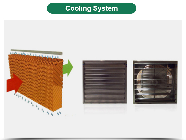 Insulation Agricultural Plastic Film Greenhouse for Single-Span at in 6m 8m 10m Width