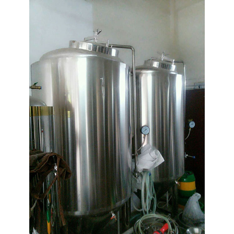 200L Profession Craft Beer Brewing Equipment for Other Brewing Requirements