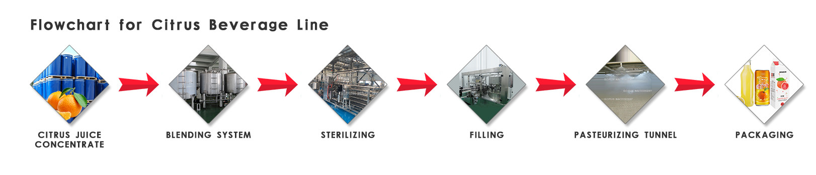 Industrial Citrus Processing Line Orange Lemon Processing Unit 1 Year Warranty