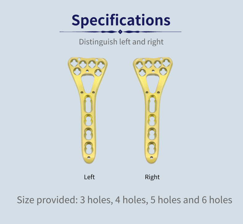 Trauma Multi Axial Palm Distal Radius Fracture Plate II