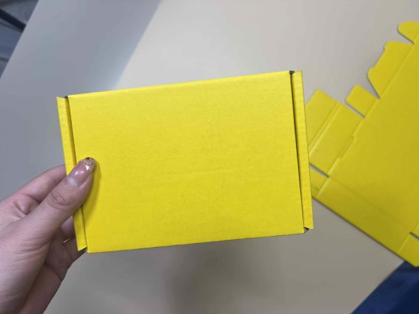 170g Kraft Pit E Kraft Paper Airplane Box High Durability 3 Layers Material