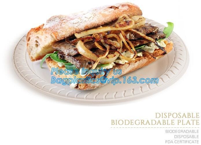 Meal Prep Containers Free Sample Bento Lunch Box Biodegradable Food Container Plastic Wheat Straw Lunch Box bagplastics
