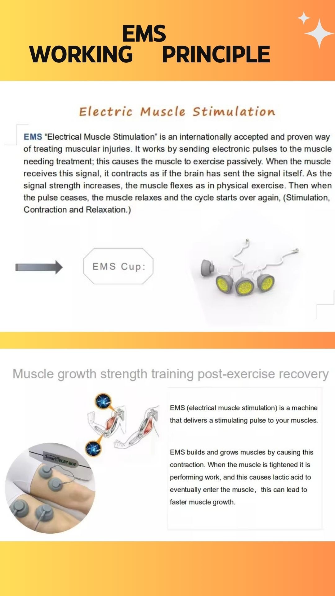 20/40/60MM Heads Size Shock Wave Device for Body Pain Relief and Tecar Diathermy