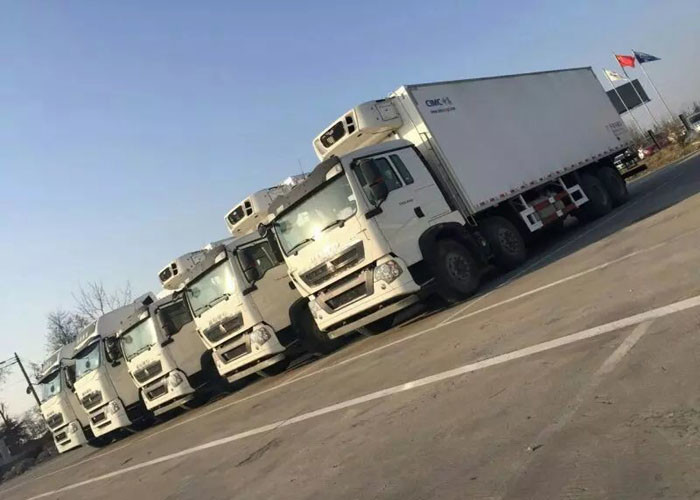 Low Noise Refrigerated Truck SINOTRUK Vegetables Transportation Refrigerated Box Truck