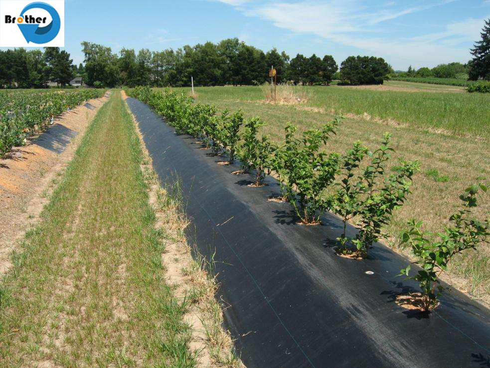 UV Treated Agricultural 3.2m Woven Plastic Weed Control Mat Ground Cover Barrier Fabric Sheet