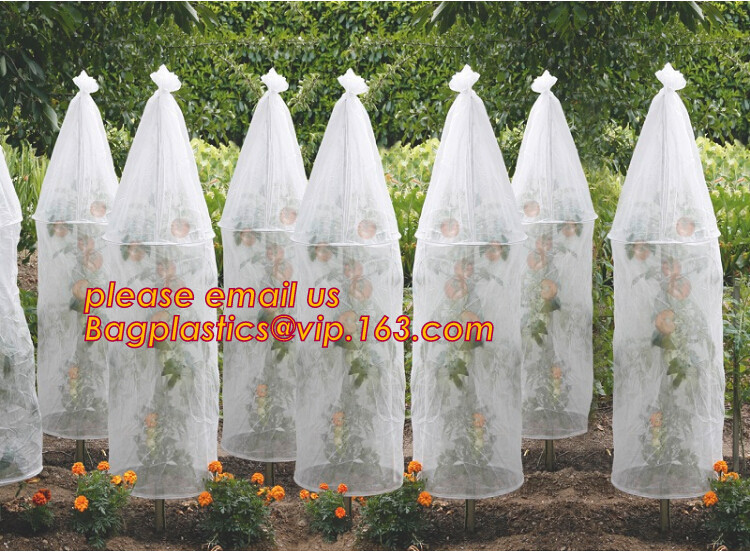 Multi-Span Plastic Film Cover Natural Ventilation Vegetable Greenhouse,Greenhouse Kits Plastic Greenhouse 200 micron gre