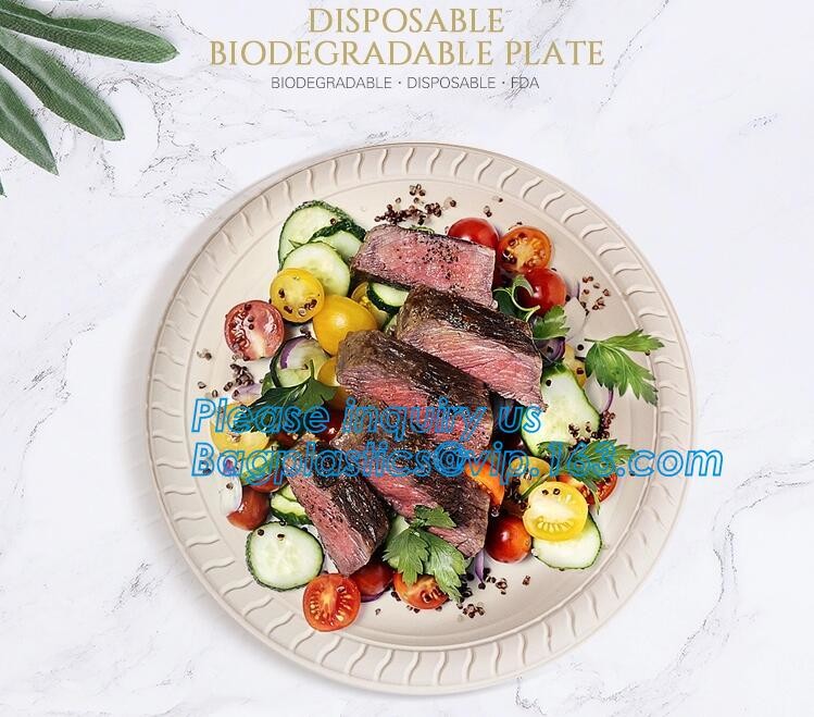 Meal Prep Containers Free Sample Bento Lunch Box Biodegradable Food Container Plastic Wheat Straw Lunch Box bagplastics
