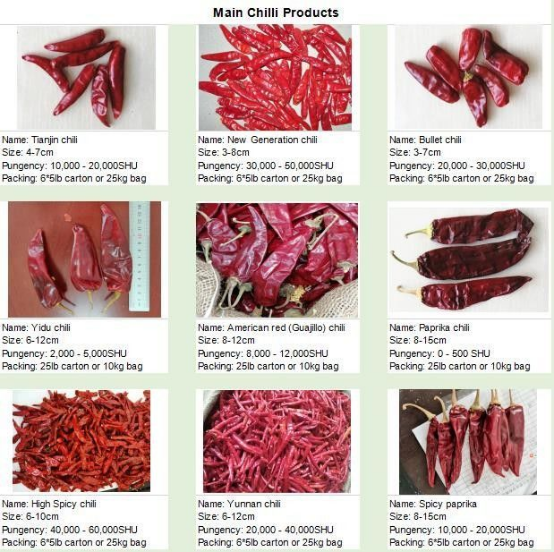 Wholesale High Quality Dry Jinta Chilli Puya Jinta Chili Red Chilli Jinta  Guajillo chilli