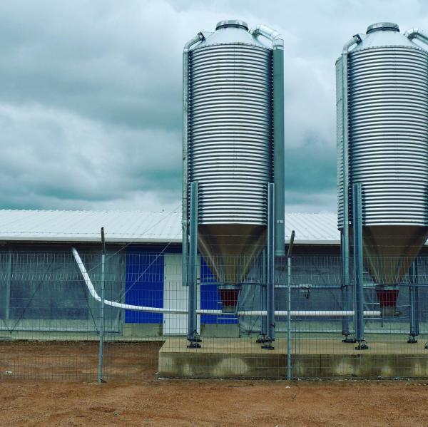 High Stable Prefabricated Light Steel Structure Farm Sheds Poultry House