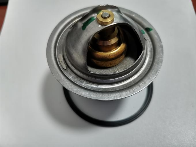 TAD851VE Engine 924548.0200  Penta Thermostat 0