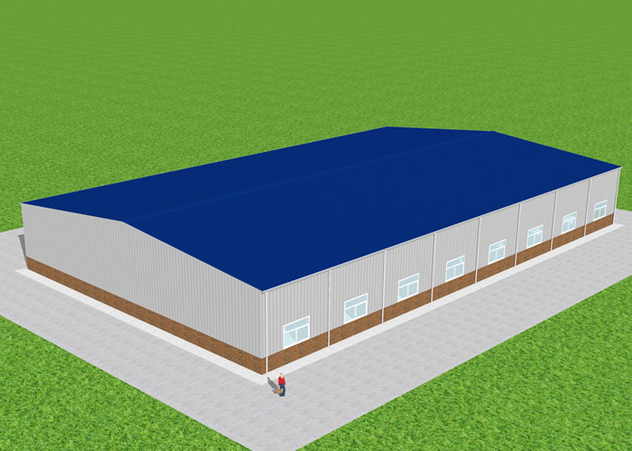 Steel Frame Workshop Building Structural Warehouse Construction