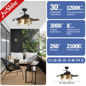 42 inches Invisible Blade Ceiling Fan Farmhouse Style With Light