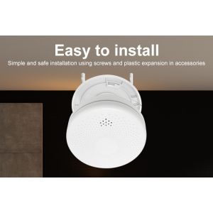 Smoke And Carbon Monoxide Detector Powered With Led Light And Accurate Detection