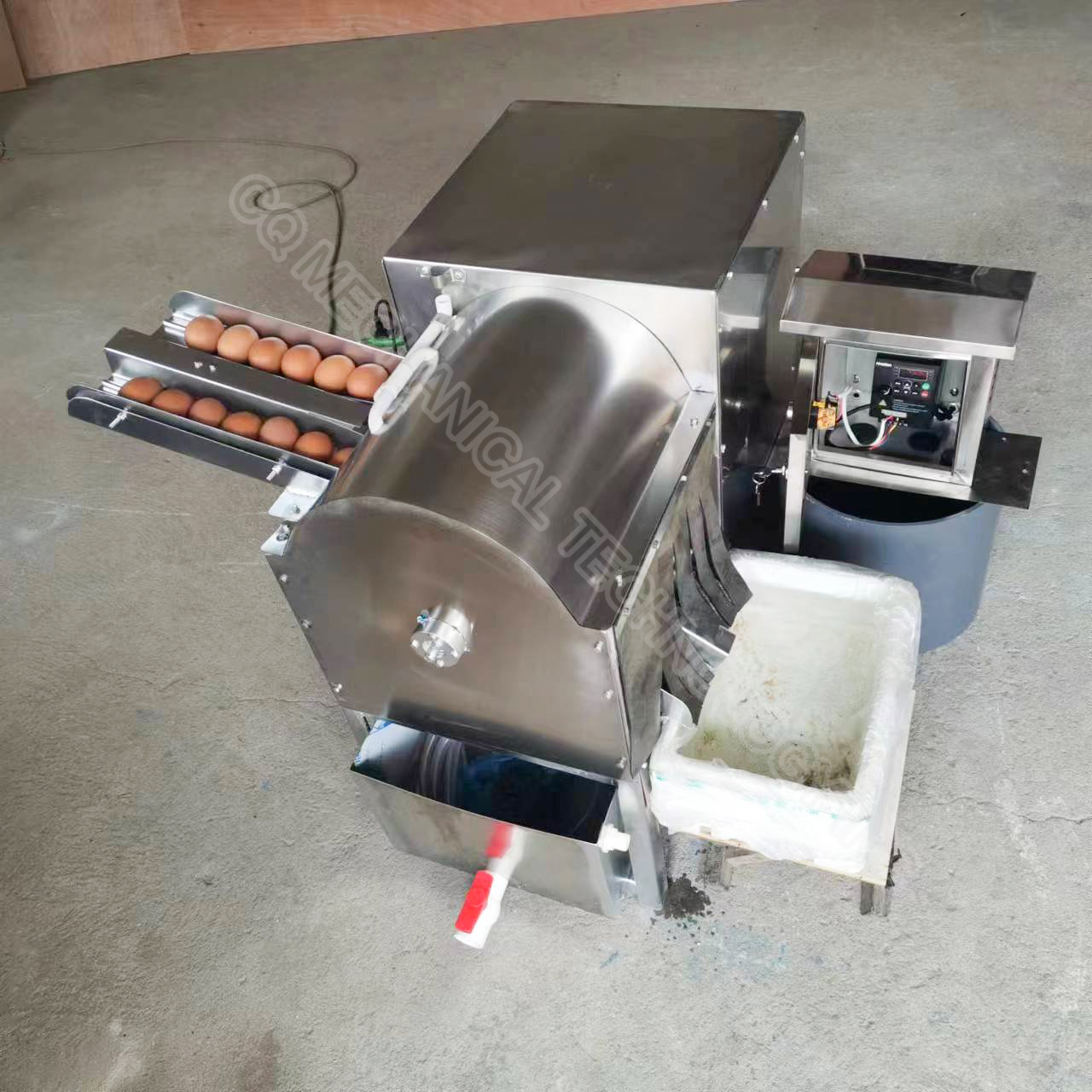 Steel Type Chicken Cleaner Washing Machine Duck Egg Brush Washer