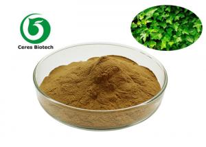 China Hederagenin 5% 10% 20% Ivy Leaf Extract Powder on sale