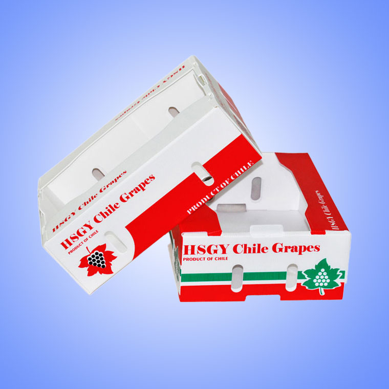 Food Packaging Corrugated Plastic Shipping Boxes For Fruit Cold Storage Transportation