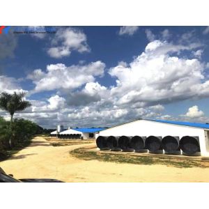 Fully Automatic Galvanized Poultry Farm Layer Cage with Feeding System