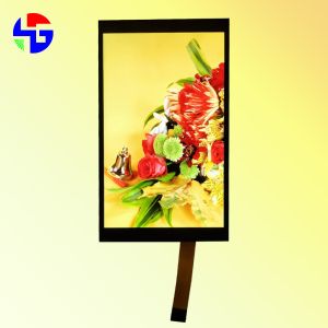 MIPI Interface 8 Inch Capacitive Touch Screen 45PIN TFT 1200x1920