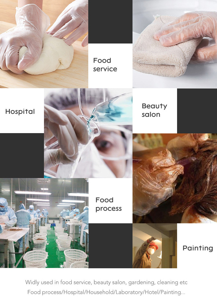 PVC Smooth Touch Disposable Vinyl Gloves Powder free Anti cut OEM & ODM