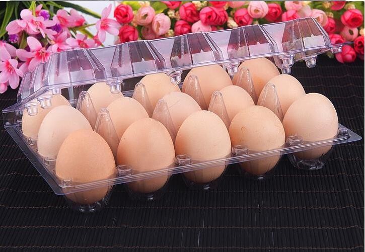 Meal Prep Containers Free Sample Bento Lunch Box Biodegradable Food Container Plastic Wheat Straw Lunch Box bagplastics