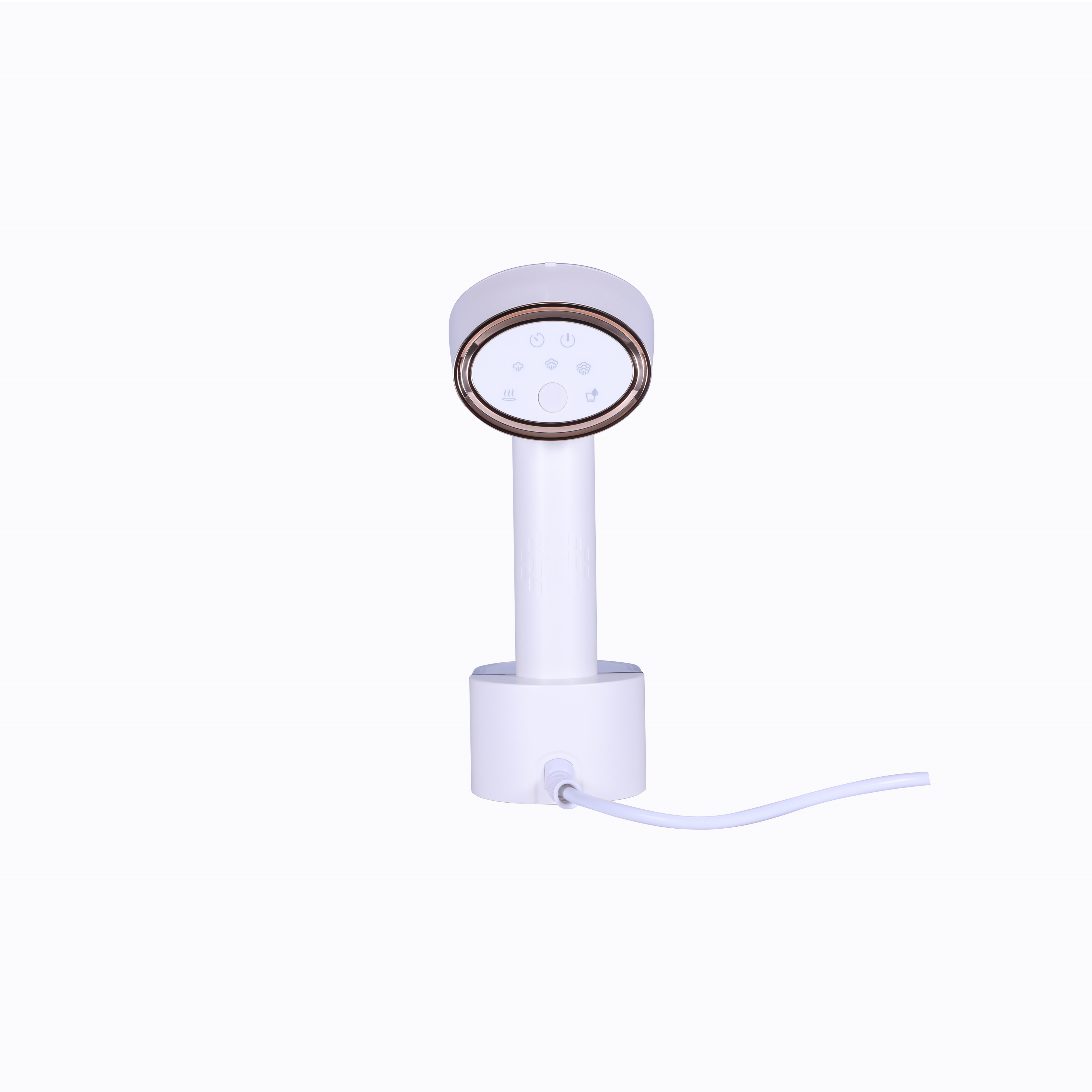 Multifunctional Handheld Electric Design Clothing Steamer with Hair Brush Accessories