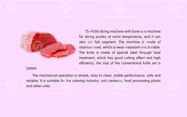 Industrial Electric 800KG/H Meat Processing Machine Beef Lamb Chicken Dicer
