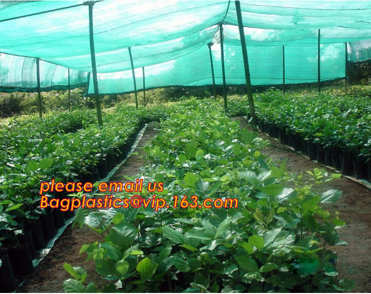 Garden plant protect cover anti insect net/agricultural plastic mesh insect proof net,agricultural wide varieties frost