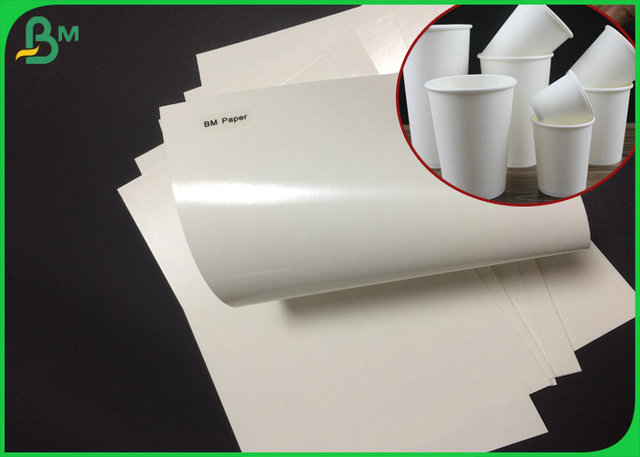 ECO 210 230 Grammages Cup Base Paper Board Coated Polyethylene For Paper Cup 