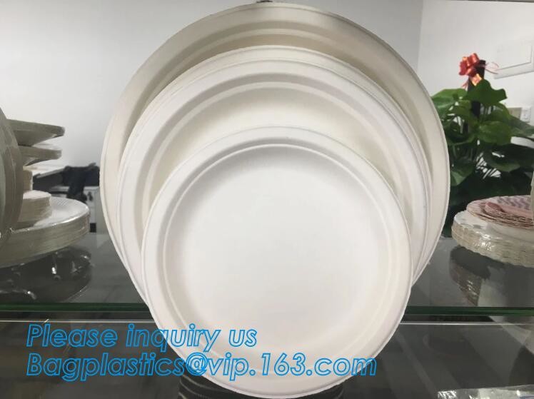 Meal Prep Containers Free Sample Bento Lunch Box Biodegradable Food Container Plastic Wheat Straw Lunch Box bagplastics