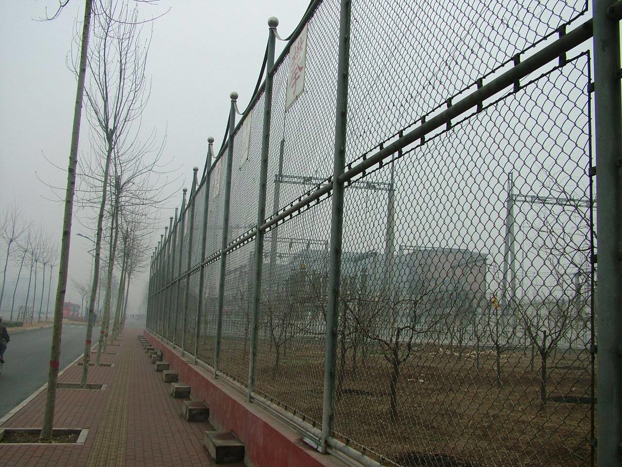 Welded Wire Mesh Chain Link Fence Hot Galvanized Pvc Coated Steel Material