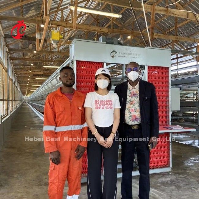 White Feeder Trough Chicken Cage Hot Dipped Galvanized Automatic Battery Cage For 34000 Birds Layer Farm Doris
