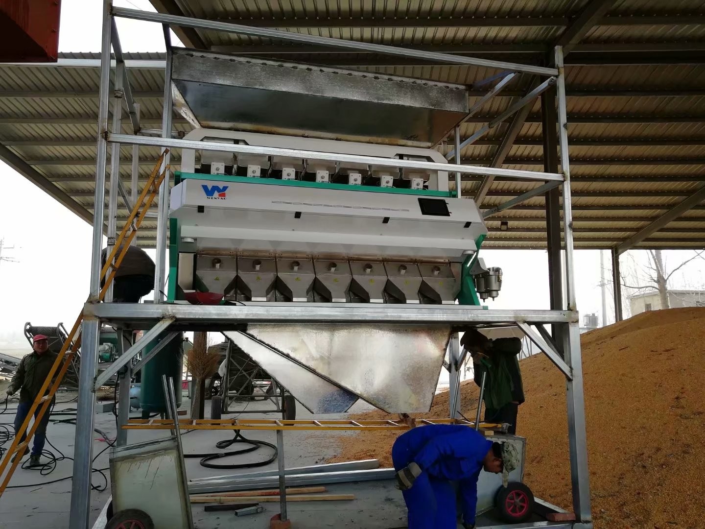High Accuracy CCD Optical Multifunction Garlic Color Separator Popular In Brazil