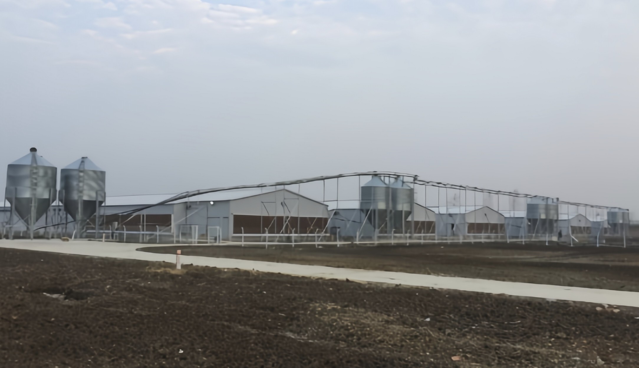 Steel Farm Chicken Feed Silo , Automatic Poultry Feed Silo 3T-34T