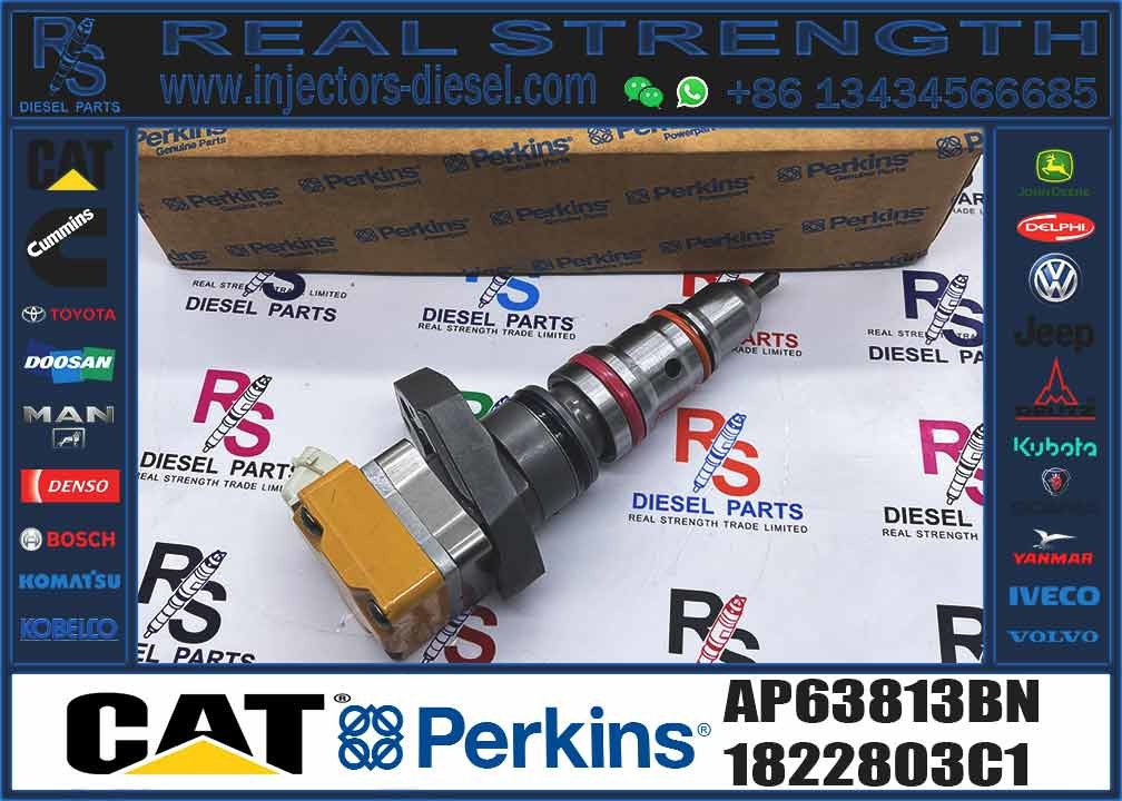 diesel engine parts fuel injector AP63813BN 1822803C1 BN1830693C3 593597C91R BI1830562C2 BI1830560C2