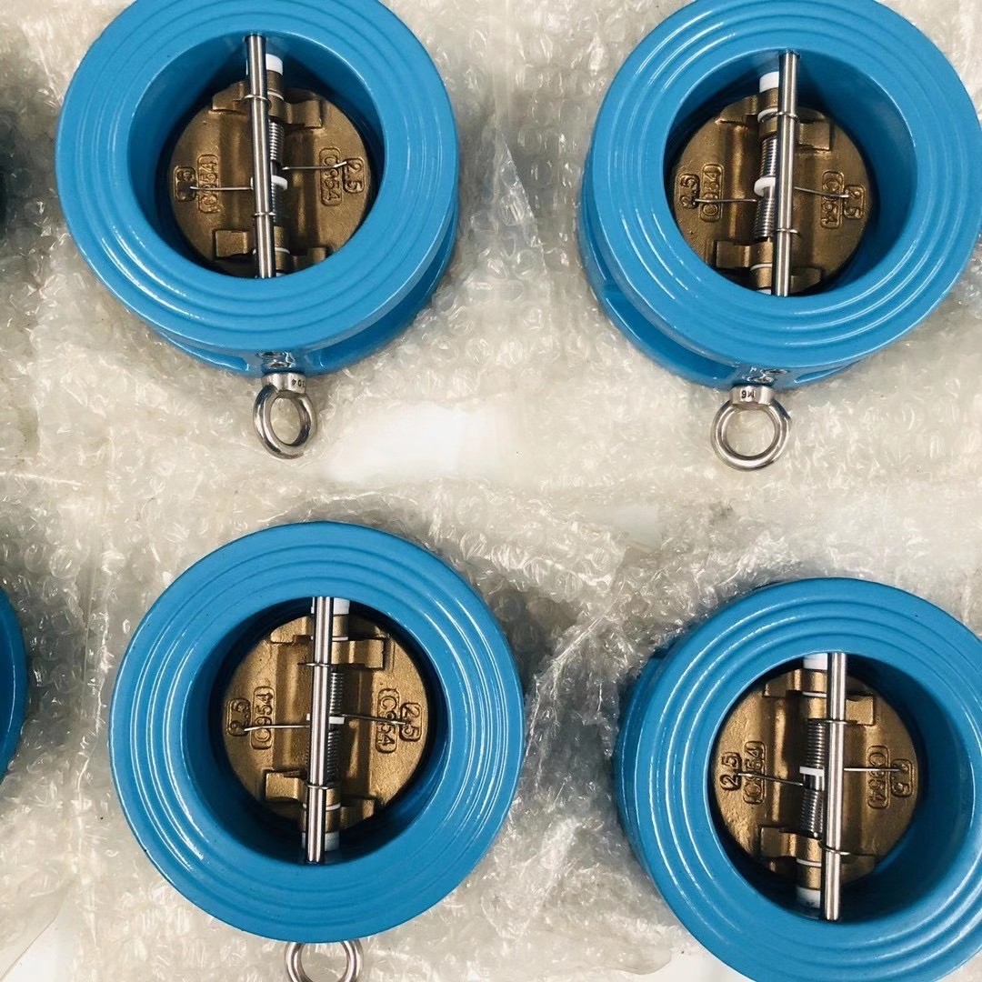 Ductile Iron Stainless Steel SS304 CF8 pn16 bs din swing Duo Dual check valves Wafer Butterfly Non-ReurnWCB Carbon Steel