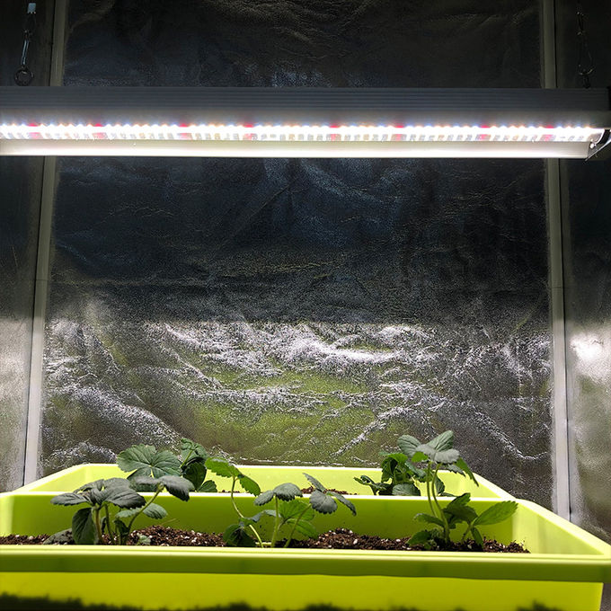 30w 2ft Vegetative LED Grow Light High Pin For Vertical Hydroponics
