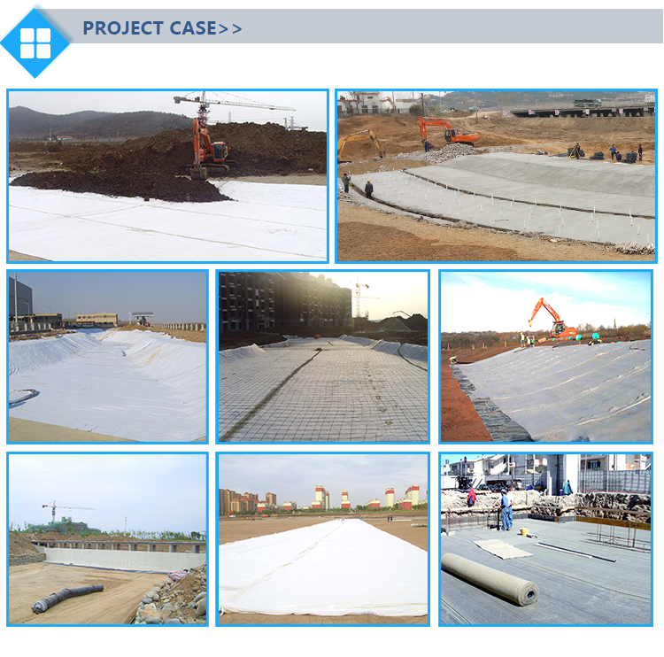 Onsite Training After-sale Service Waterproof Bentonite Mat Geosynthetic Clay Liner
