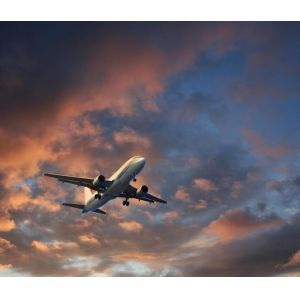 Special Goods Shipping Service from to Korea with Large and Stable Space