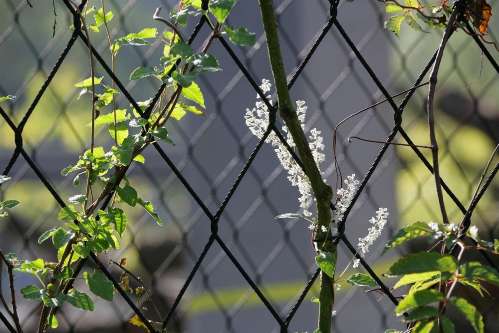 stainless steel wire rope mesh