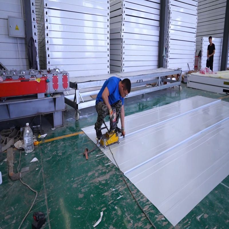 20ft 2 Storey Container House for Luxury Living and Work in Steel Structure Material