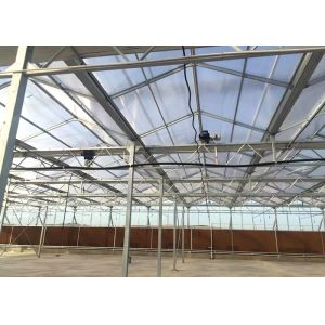 Side Height 3-7m Large Polycarbonate Greenhouse With Ventilation System