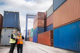 Transparency Certified Quality Inspector , Quality Testing And Inspection