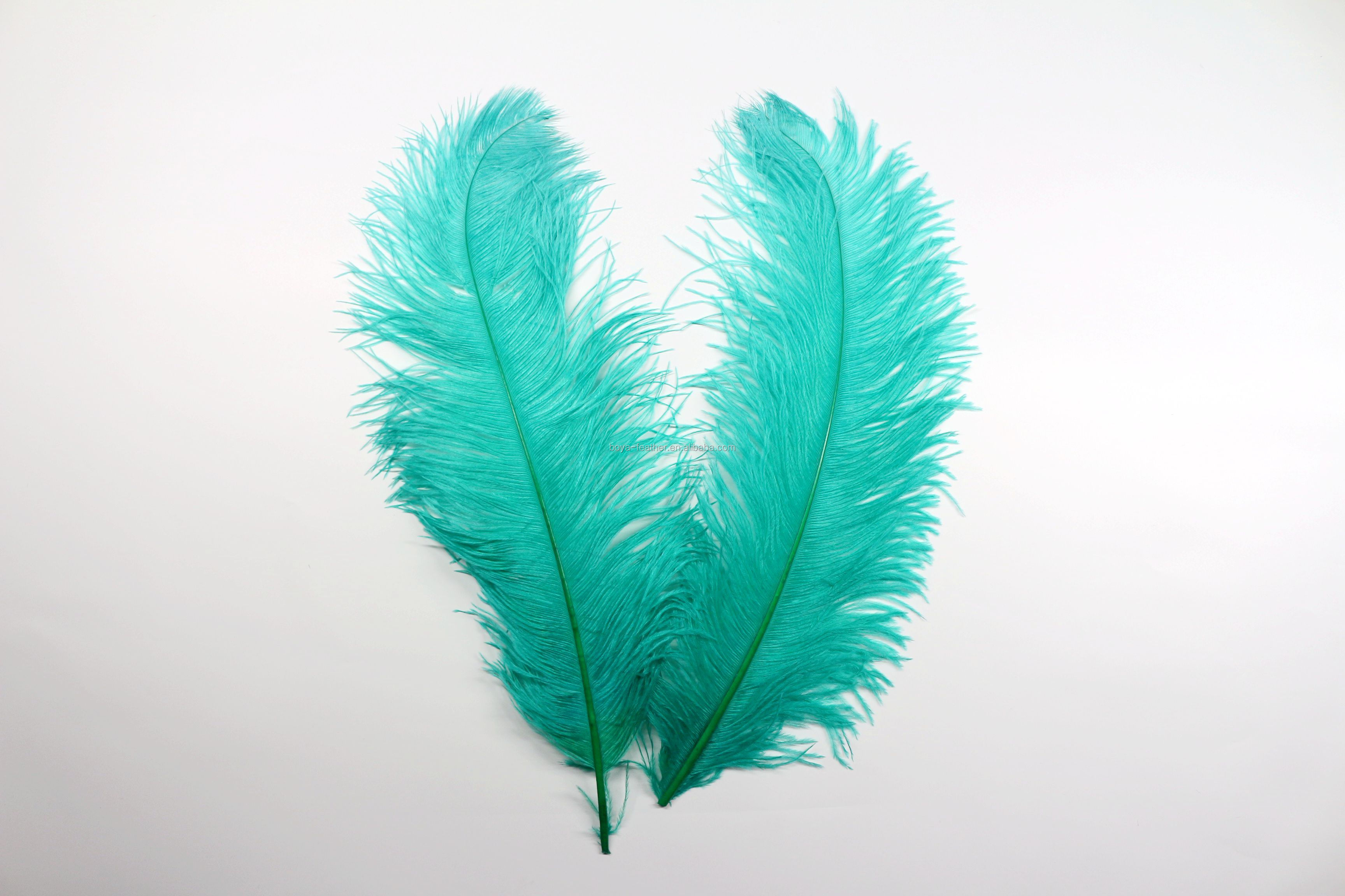 Carnival Costumes Decoration Millinery Feather , Ostrich Plume Feathers Multi Colored