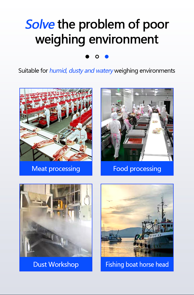 AV220V/50HZ Waterproof Double Screen Electronic Scale 30kg for Customized OBM Support