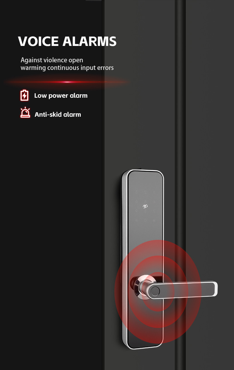 Bluetooth Electronic Keypad Door Locks Anti-Theft Keyless Entrance