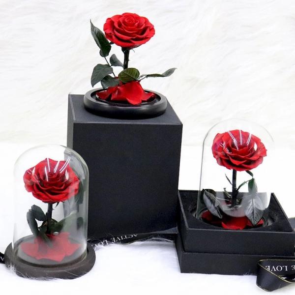 Wholesale long stem preserved roses in glass dome rose gift Real Preserved Rose