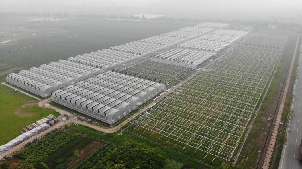 Agricultural Single-Span Tunnel Type Film Blackout Mushroom Greenhouse with Light Deprivation System for Medical Plants and Mushroom