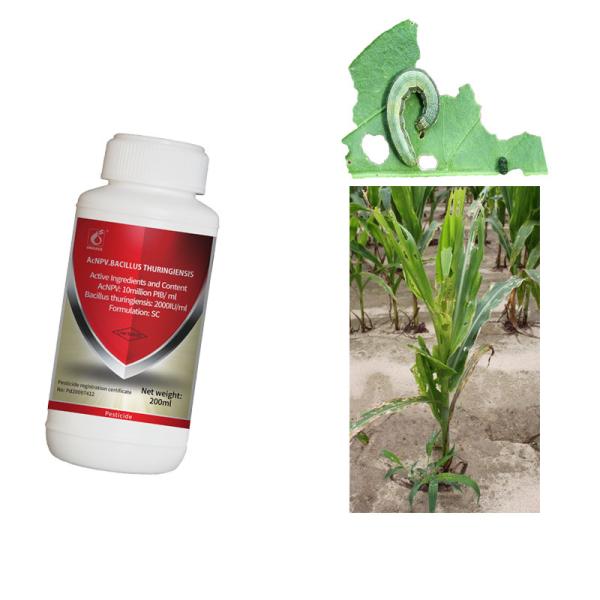 Biological Agriculture Chemical Pesticides Used In Crops Nuclear Polyhedrosis